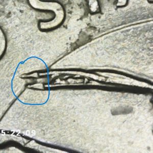 2023-P-Washington-Quarter-Odd-Die-Chips-On-Feathers